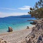 Orka